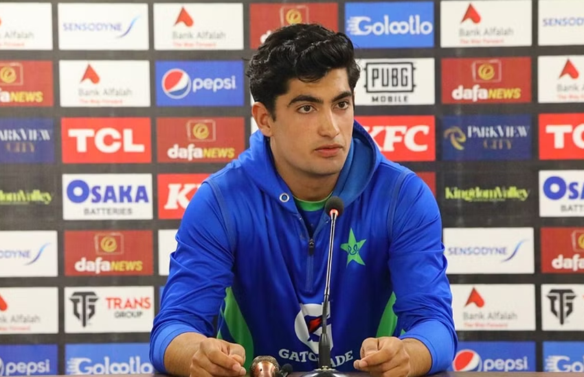 Naseem Shah fine